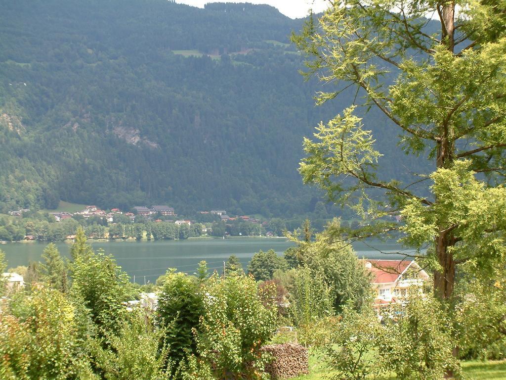 Bachkeusche Villa Ossiach Oda fotoğraf